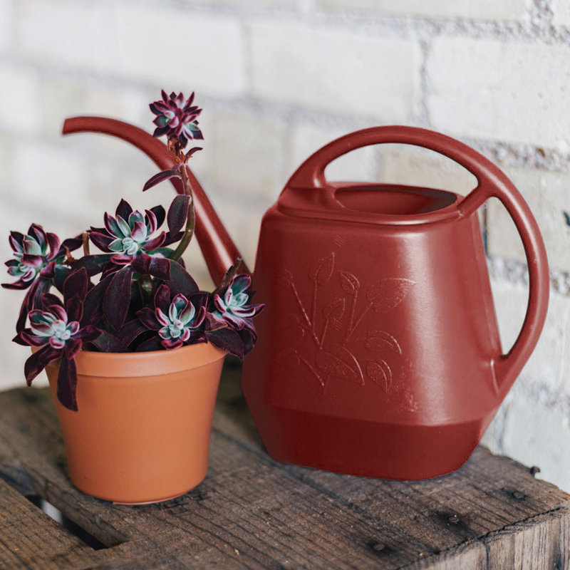 Arlmont & Co. Artin Plastic Indoor & Outdoor Watering Can & Reviews